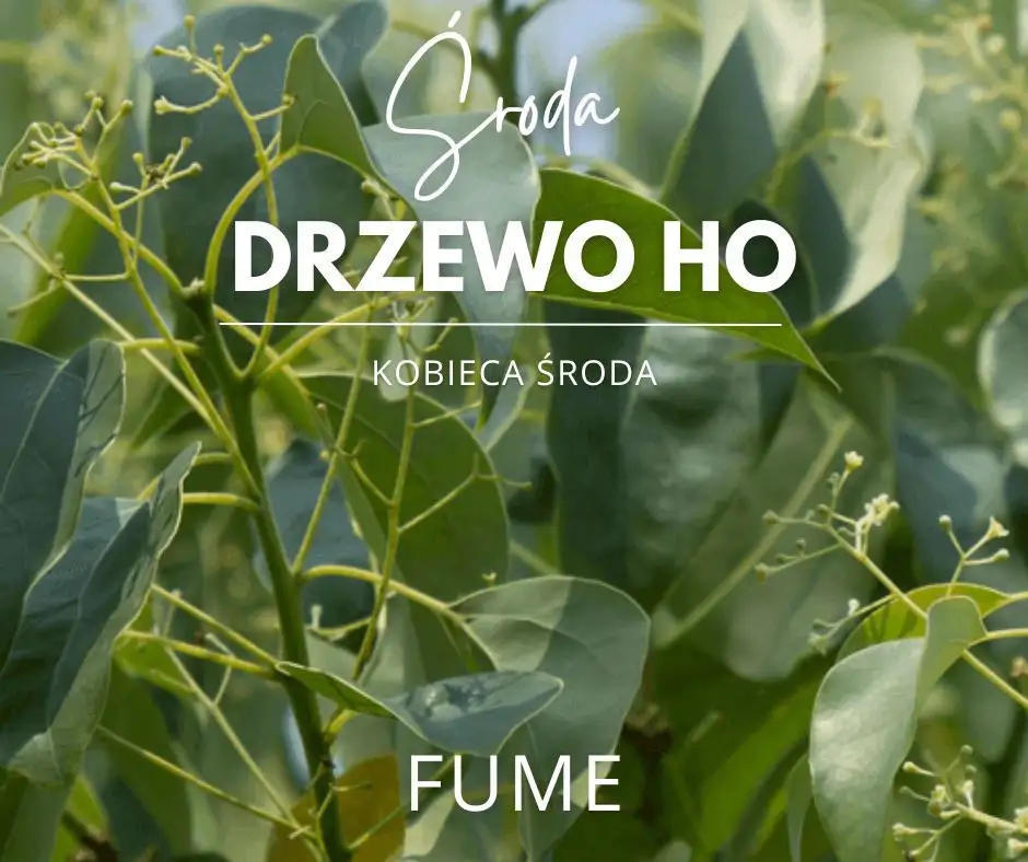 Obrazek promujący wydarzenie