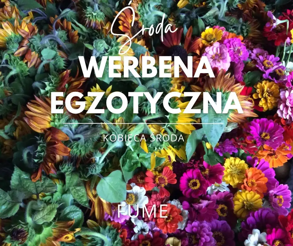 Obrazek promujący wydarzenie