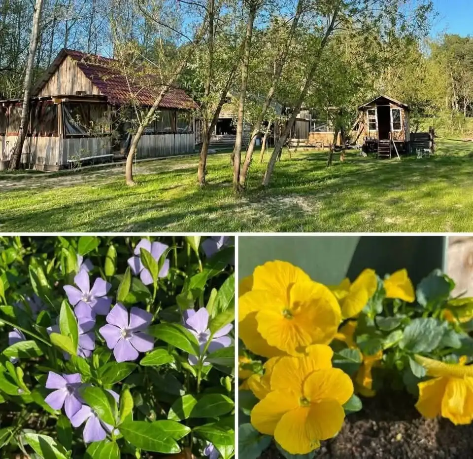 Obrazek promujący wydarzenie