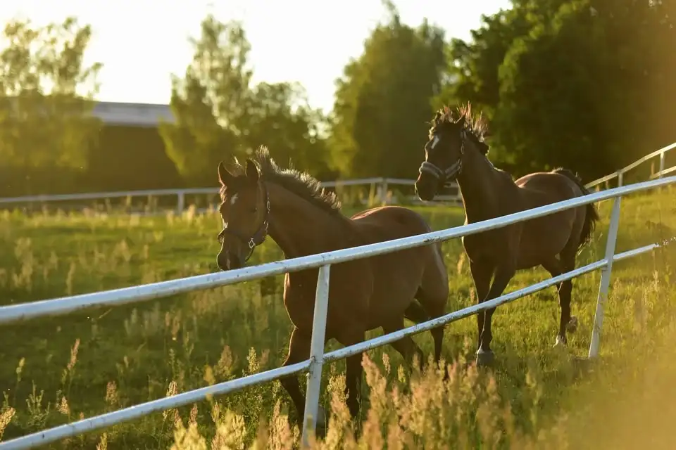 Obrazek promujący wydarzenie