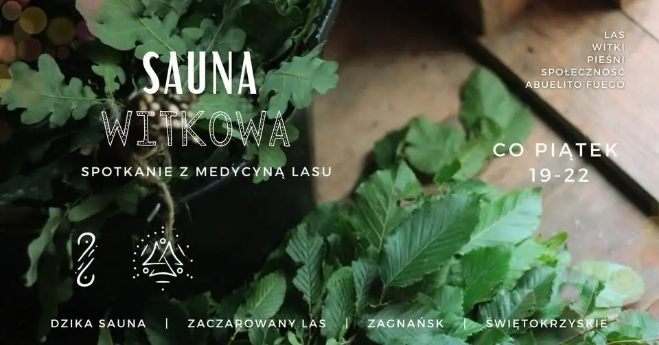 Sauna witkowa - spotkanie z medycyną lasu. Obrazek promujący wydarzenie
