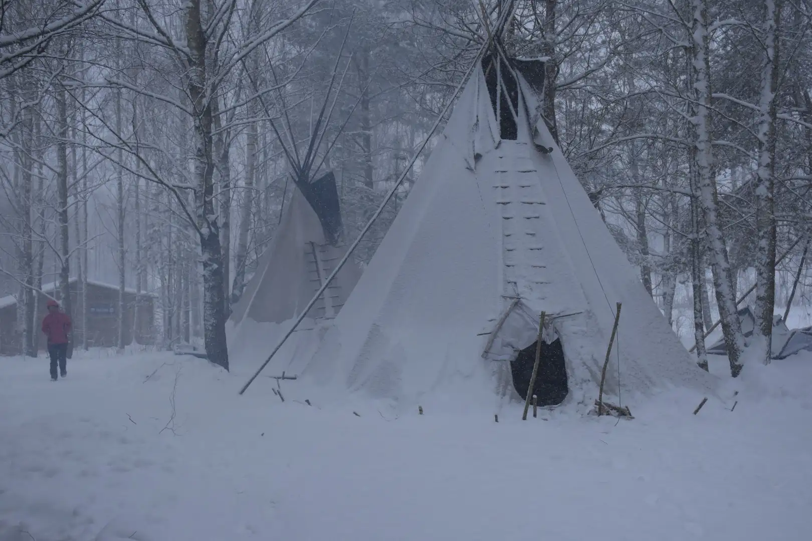 X BIEGUN ZIMNA Obrazek promujący wydarzenie