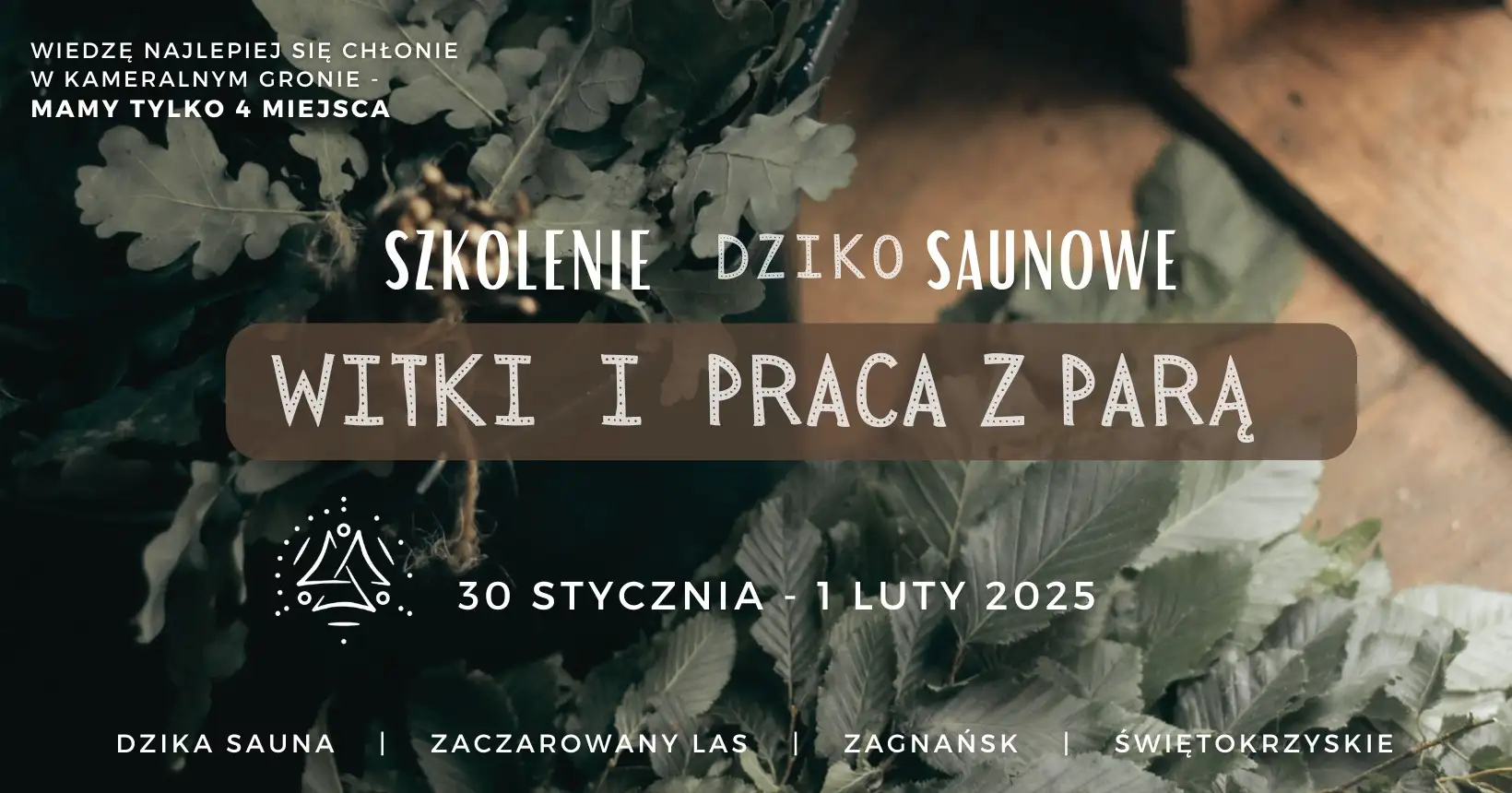 WITKI I PRACA Z PARĄ | Szkolenia DzikoSaunowe Obrazek promujący wydarzenie