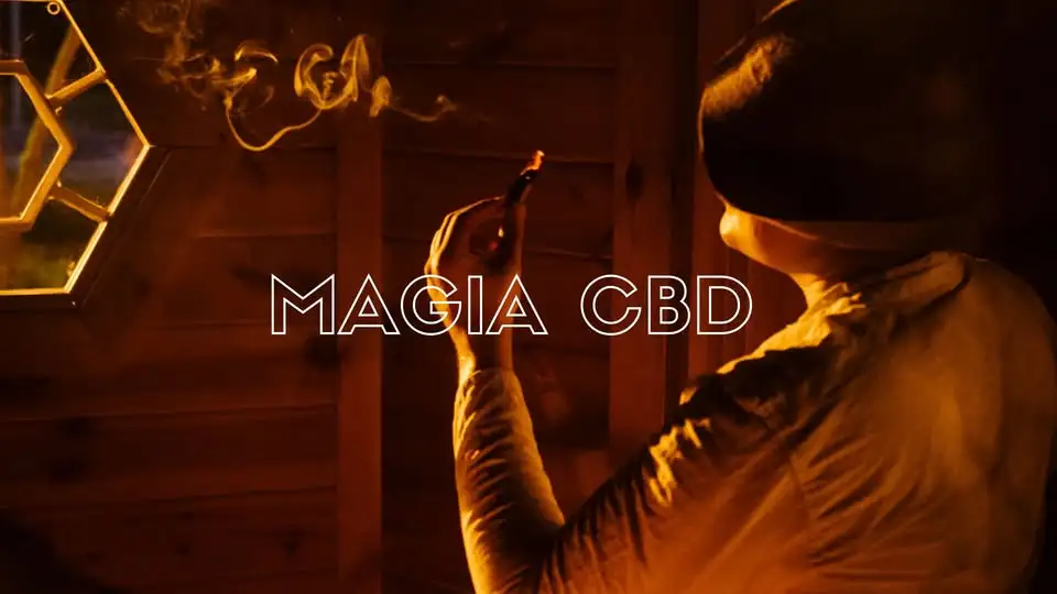 MAGIA CBD Obrazek promujący wydarzenie